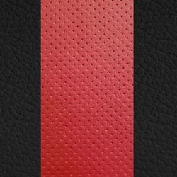 Black w/ Red