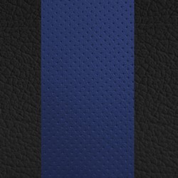 Black w/ Blue