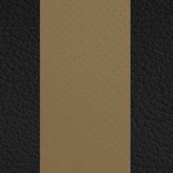Black w/ Beige