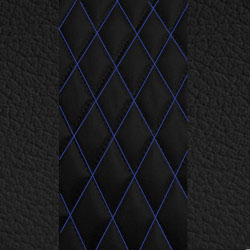Blue Stitch