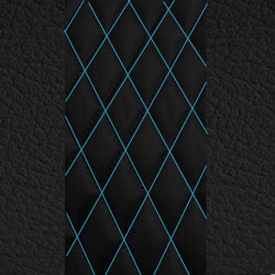 Electric Blue Stitch