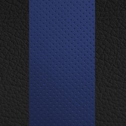 Black w/ Blue