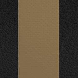 Black w/ Beige