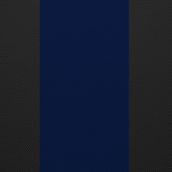 Black w/ Blue