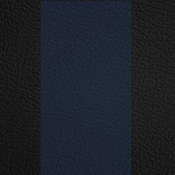 Black w/ Blue