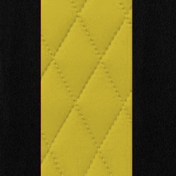 Black w/ Yellow