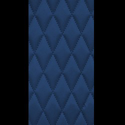 Black w/ Blue