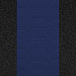 Black w/ Blue